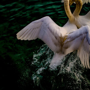 PXL_20251031_135347516 (1)