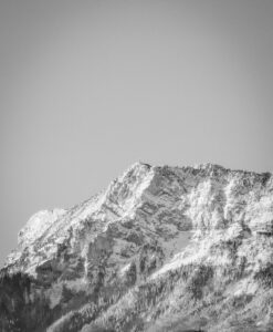 PXL_20251128_074024577